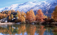 Desktop wallpaper. Nature. ID:29722