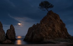 Desktop wallpaper. Nature. ID:50627