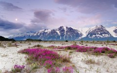 Desktop wallpaper. Nature. ID:29733