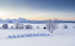 Desktop wallpaper. Nature. ID:50595