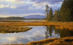 Desktop wallpaper. Nature. ID:29738