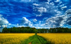 Desktop wallpaper. Nature. ID:29743