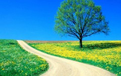 Desktop wallpaper. Nature. ID:29746