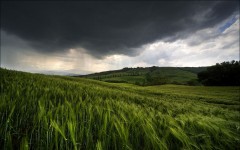 Desktop image. Nature. ID:29768