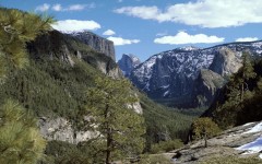 Desktop image. Nature. ID:29769
