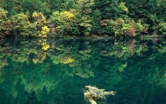Desktop wallpaper. Nature. ID:29783