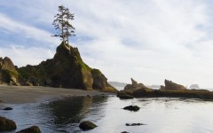 Desktop wallpaper. Nature. ID:29788