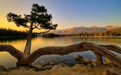 Desktop wallpaper. Nature. ID:29793