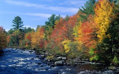 Desktop wallpaper. Nature. ID:29797