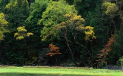 Desktop wallpaper. Nature. ID:29800