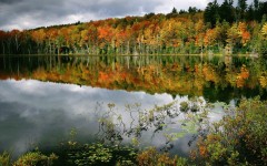 Desktop wallpaper. Nature. ID:29802