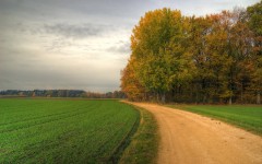 Desktop wallpaper. Nature. ID:29804