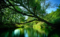 Desktop wallpaper. Nature. ID:29810