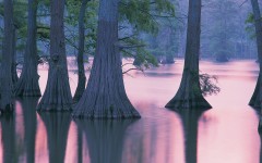 Desktop wallpaper. Nature. ID:29811