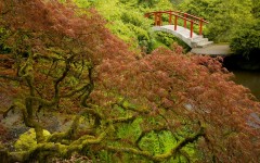 Desktop wallpaper. Nature. ID:29813