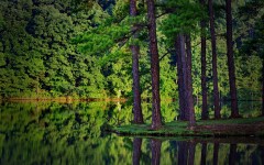 Desktop wallpaper. Nature. ID:50638