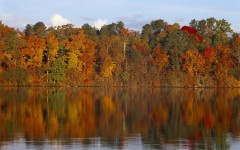Desktop image. Nature. ID:29821
