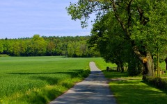Desktop image. Nature. ID:29823