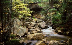 Desktop image. Nature. ID:29824