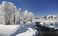 Desktop image. Nature. ID:29825