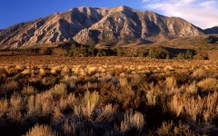 Desktop image. Nature. ID:29828