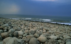 Desktop image. Nature. ID:29832