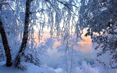Desktop wallpaper. Nature. ID:50240