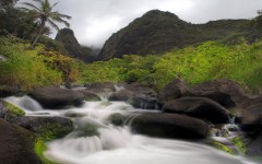 Desktop image. Nature. ID:29836