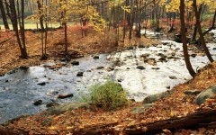 Desktop image. Nature. ID:29837