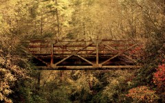 Desktop wallpaper. Nature. ID:29848