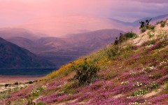 Desktop wallpaper. Nature. ID:29850
