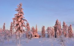 Desktop wallpaper. Nature. ID:50475