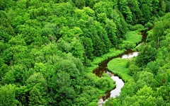 Desktop wallpaper. Nature. ID:29860