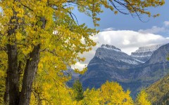 Desktop wallpaper. Nature. ID:29864