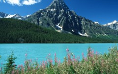 Desktop wallpaper. Nature. ID:29867