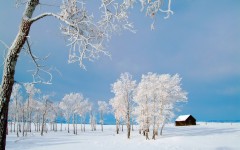 Desktop wallpaper. Nature. ID:29870