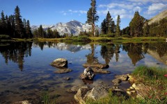 Desktop wallpaper. Nature. ID:29874