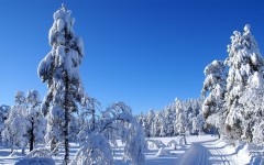 Desktop wallpaper. Nature. ID:29880
