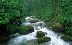 Desktop wallpaper. Nature. ID:29882