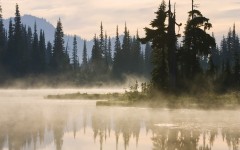 Desktop wallpaper. Nature. ID:29888