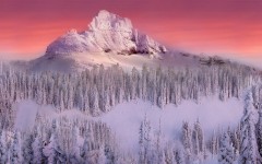 Desktop wallpaper. Nature. ID:29898