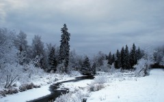 Desktop wallpaper. Nature. ID:29900