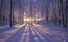Desktop wallpaper. Nature. ID:29903