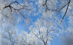 Desktop wallpaper. Nature. ID:29919
