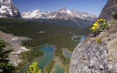 Desktop wallpaper. Nature. ID:29922