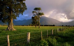 Desktop wallpaper. Nature. ID:29924
