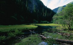 Desktop wallpaper. Nature. ID:29927