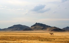 Desktop wallpaper. Nature. ID:29928