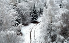 Desktop wallpaper. Nature. ID:29934