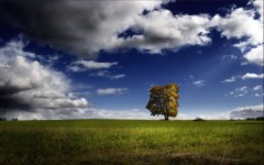 Desktop wallpaper. Nature. ID:29942